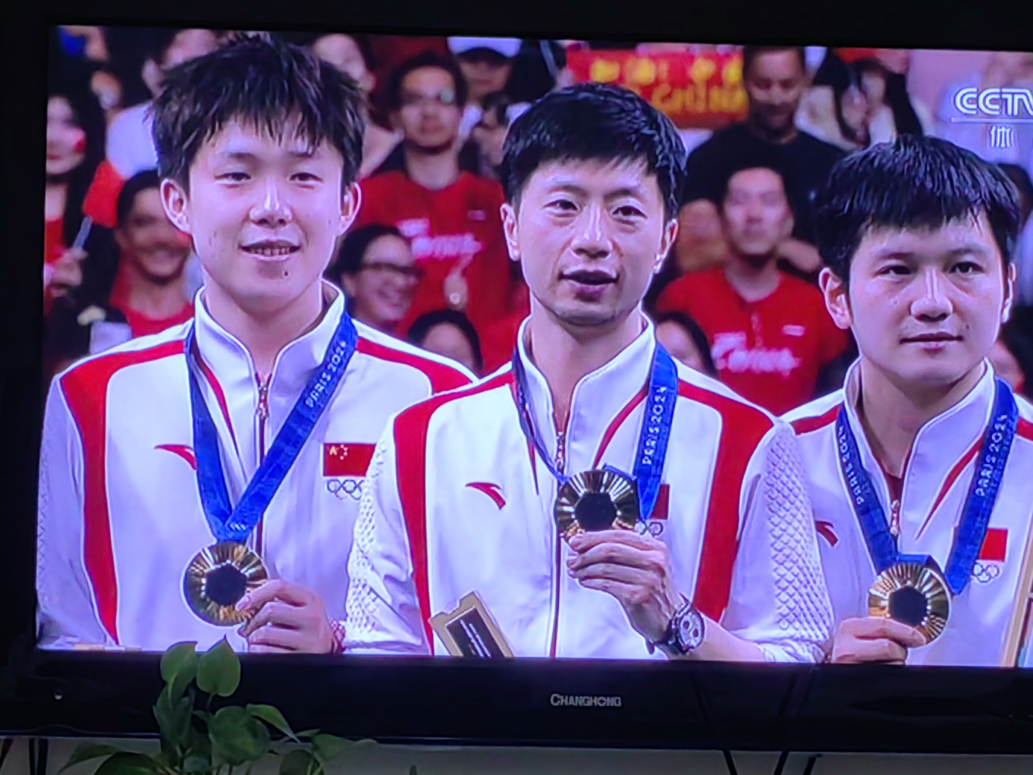 瑞典乒乓球队险胜韩国乒乓球队，马龙爆发神勇的简单介绍