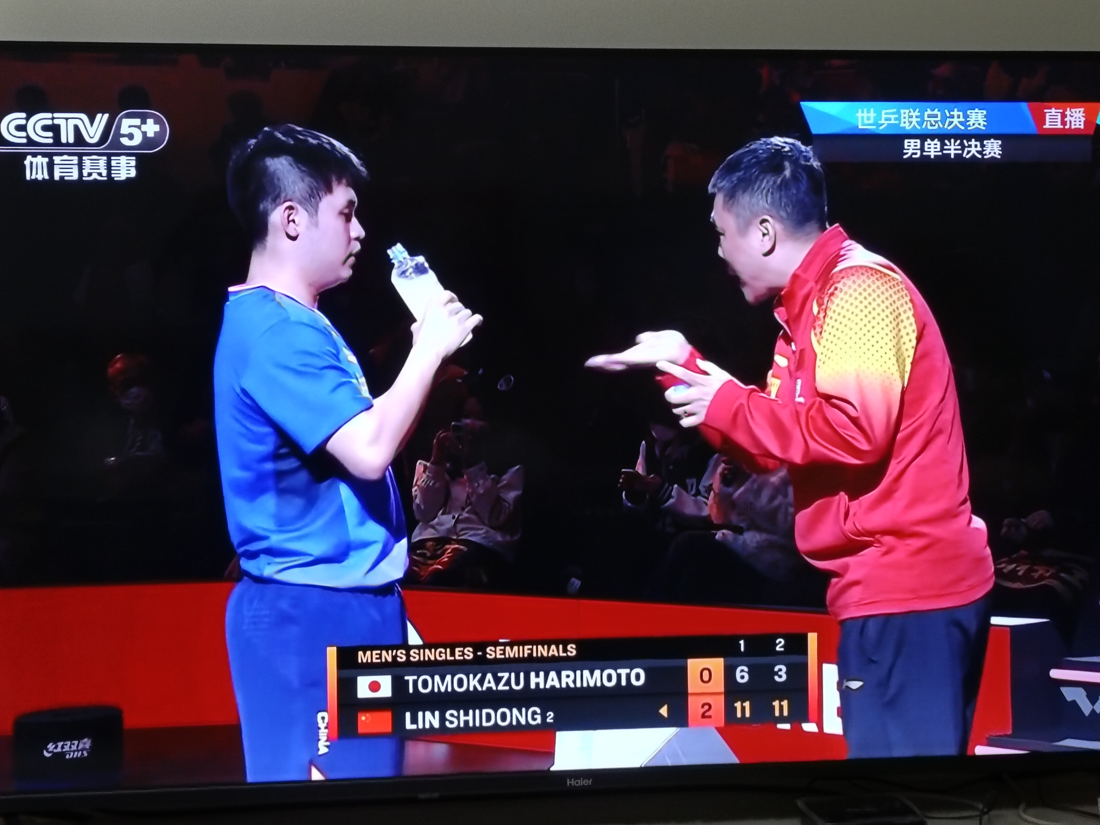 德国队鏖战英格兰队,张本智和统治全场 德国队鏖战英格兰队,张本智和统治全场