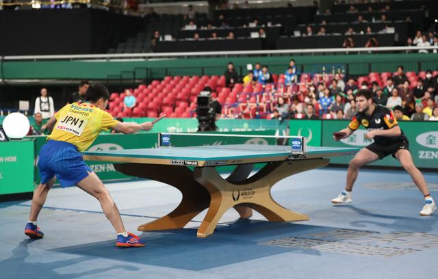 德国队鏖战英格兰队,张本智和统治全场 德国队鏖战英格兰队,张本智和统治全场