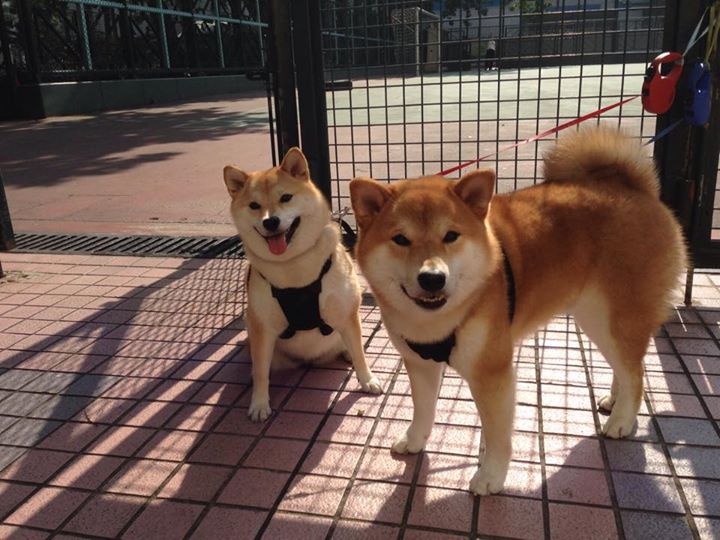 第三颗子弹,蒙特卡洛的红土上,鲁德为拉沃尔杯射出关键一击