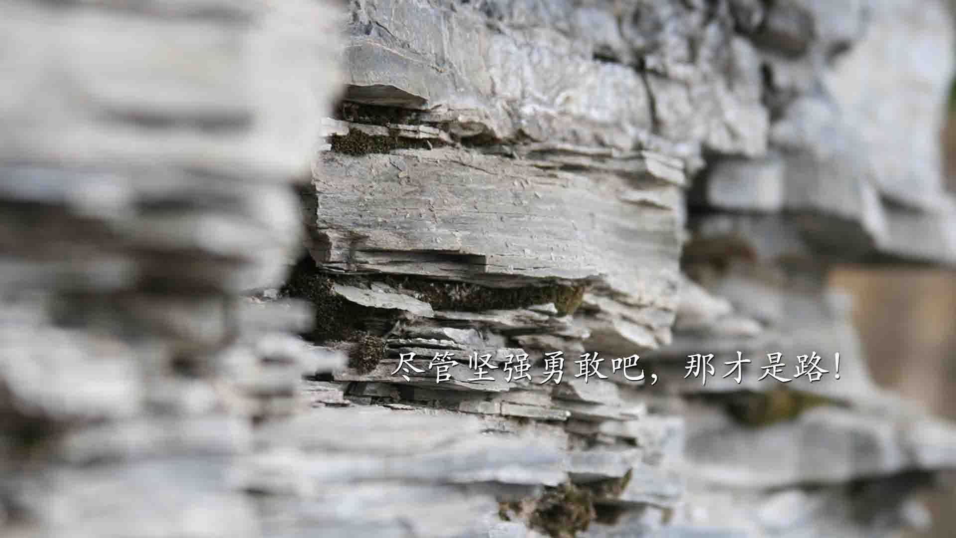 终场超车,当爵士绝杀化身F1冠军弯道