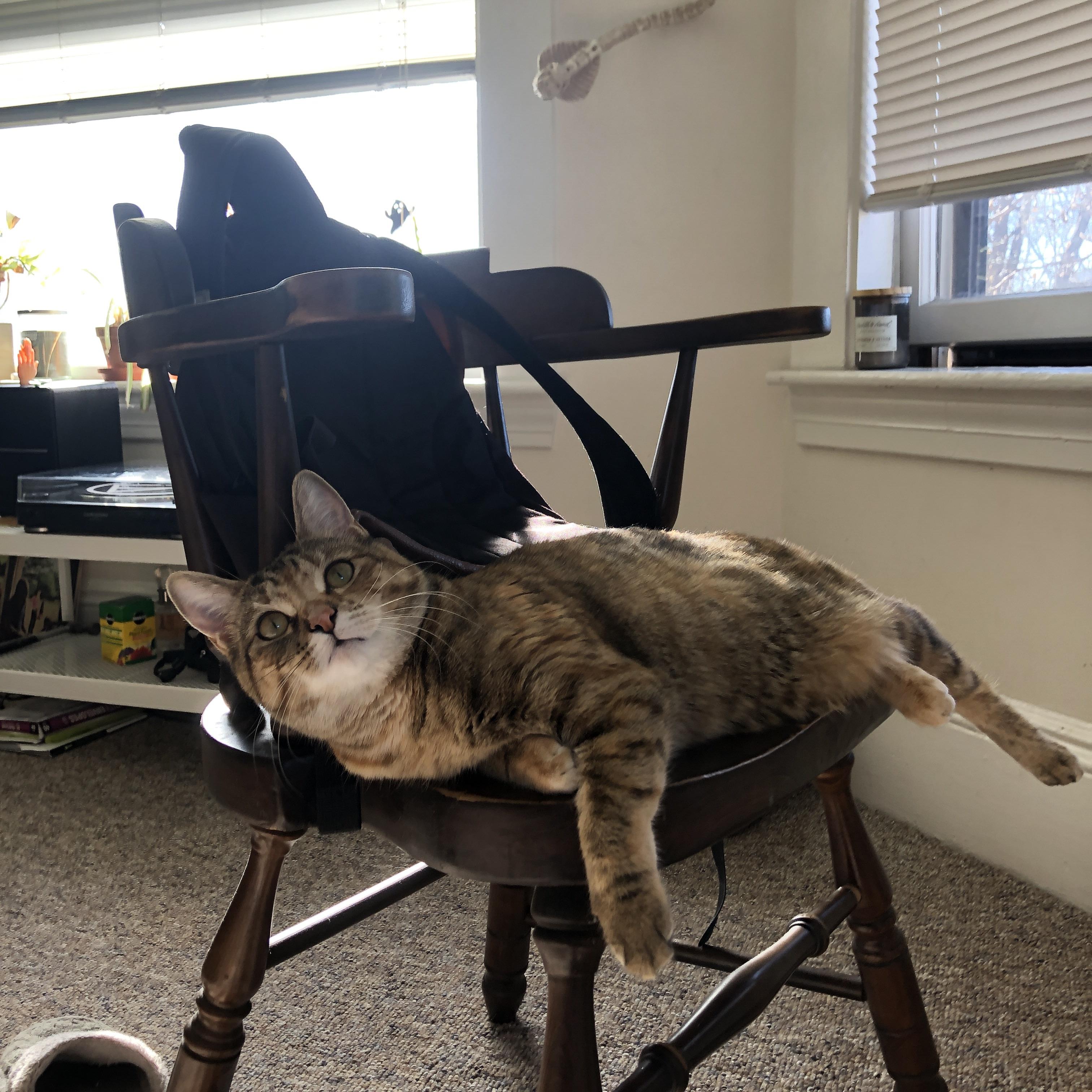 生死战取胜佛罗伦萨！美国队依靠佩德里关键表现晋级