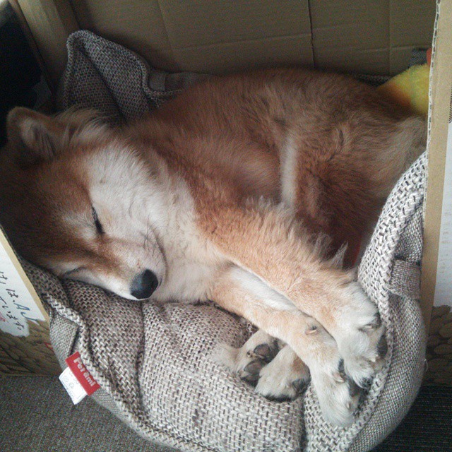 基于这个思路，我为您构思了以下几个文章标题，它们从不同角度诠释了这场想象中的独特对决