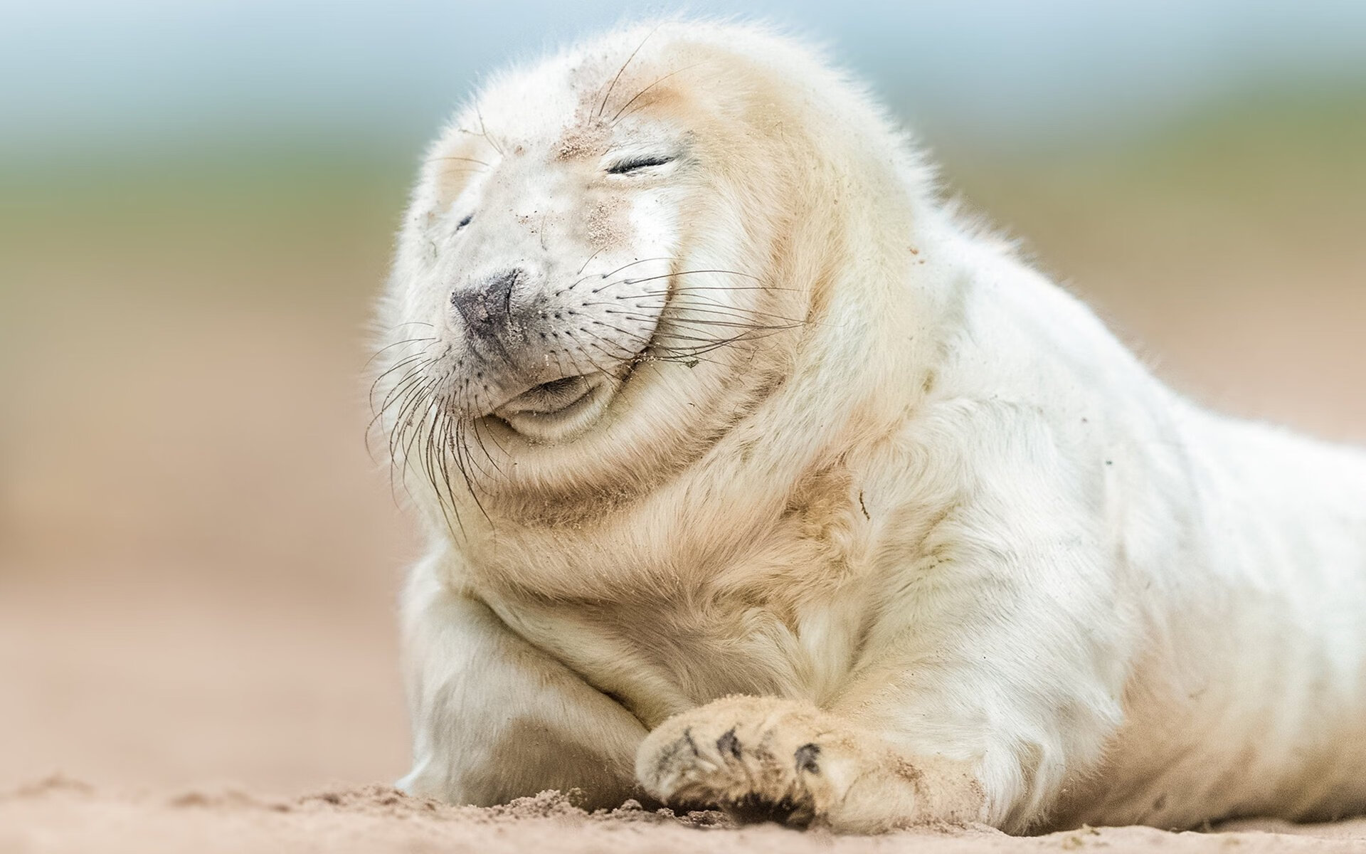 一场非正式的正式定义战，比利亚雷亚尔逆风擒下瑞典，改写世界排名游戏规则