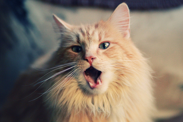 一场非正式的正式定义战，比利亚雷亚尔逆风擒下瑞典，改写世界排名游戏规则