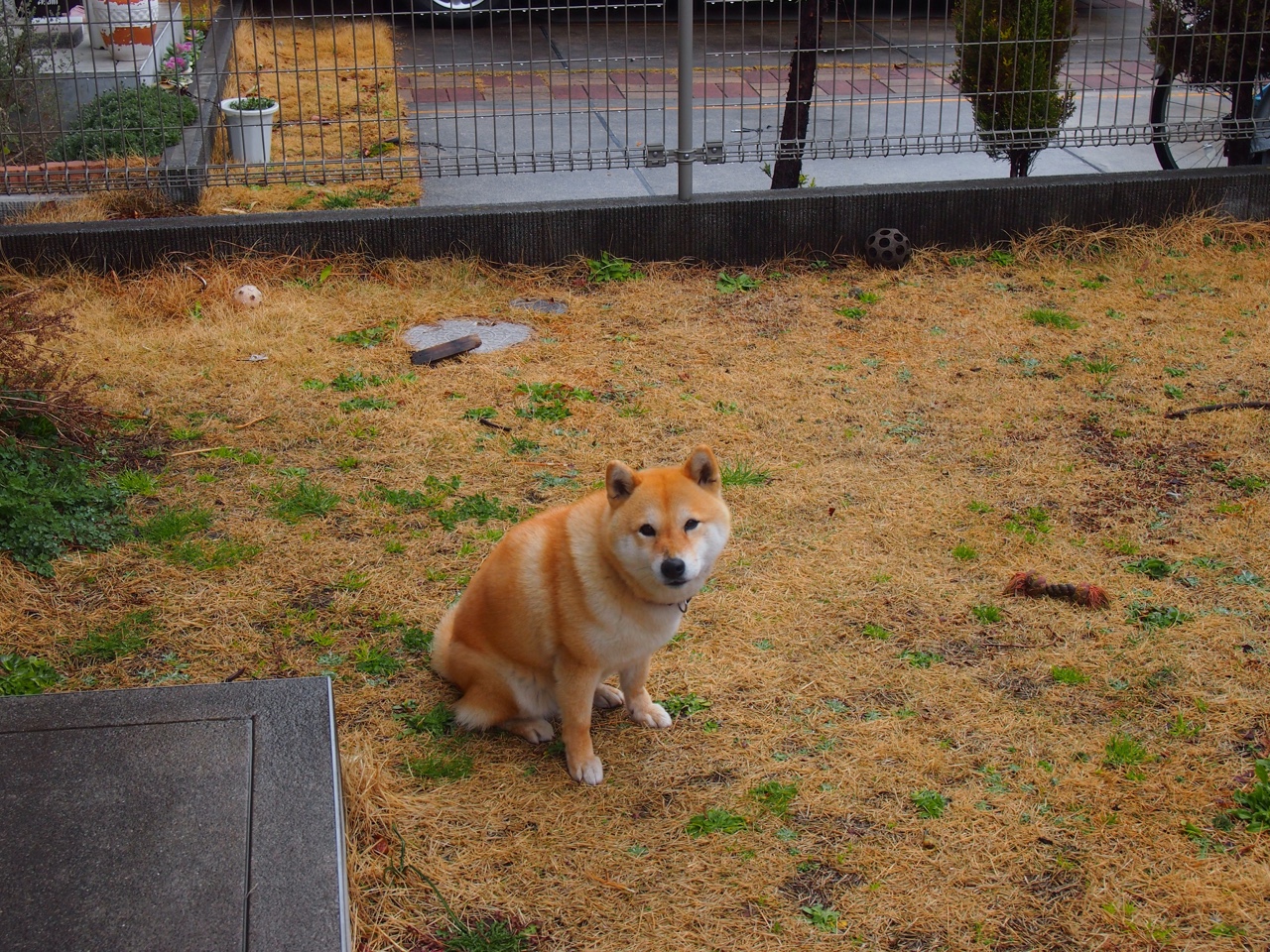 逆转之光与中场魔法，当英雄剧本在足球世界同时上演