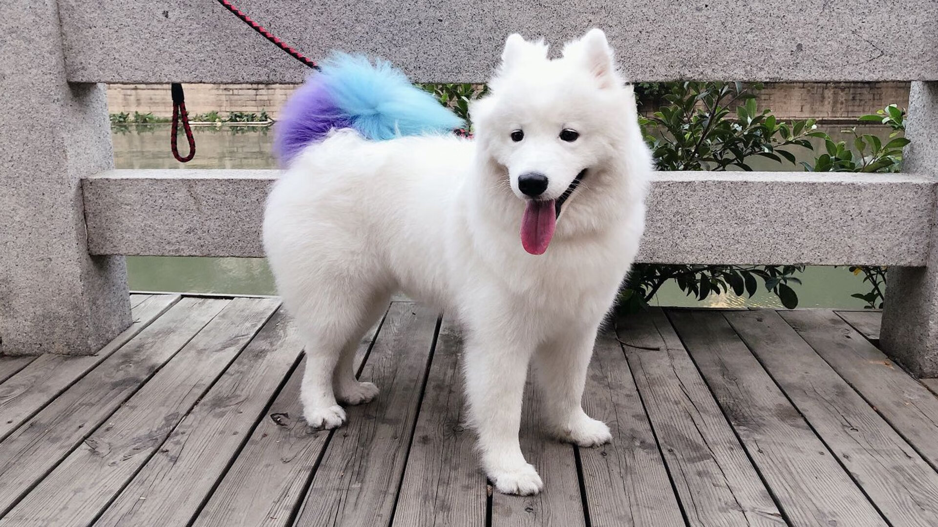 格列兹曼一剑封喉，新西兰爆冷告捷—巴黎奥运足球之夜的双重奏