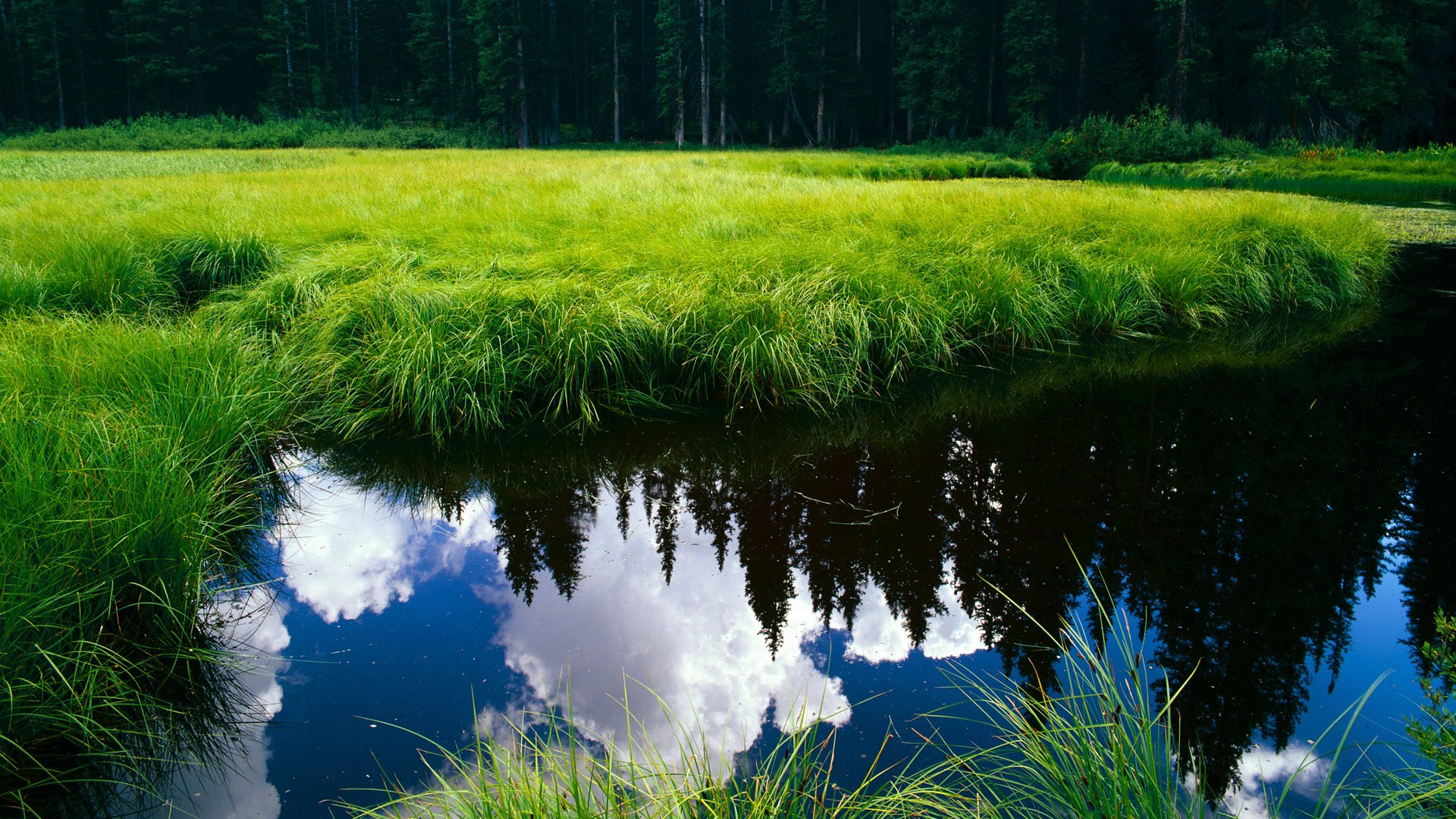 历史在枪炮与足球间划开一道光，托尼唯一性的进攻，乌拉圭决定性的胜利