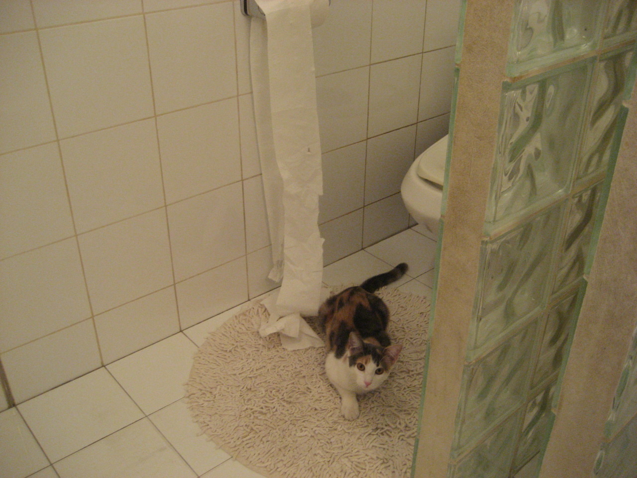 引擎与齿轮，当猛龙加时啮合胜利，马克西在街道接管比赛