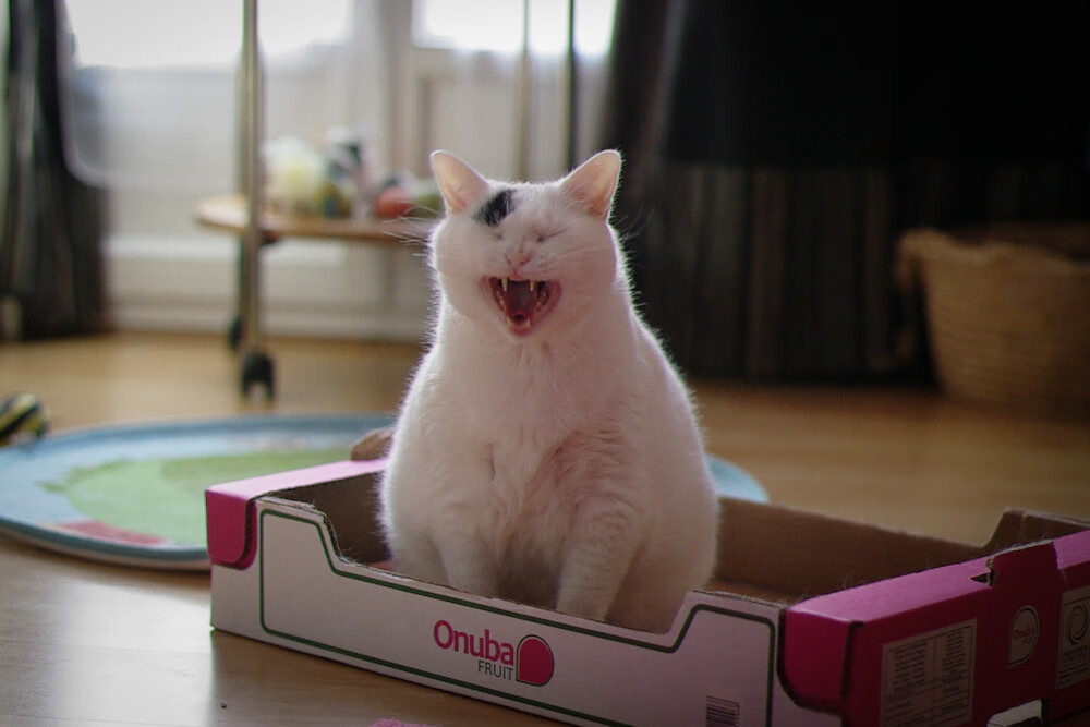 当吉林队遇见雄鹿，一场跨界激战，英格拉姆如何成为悬念终结者？