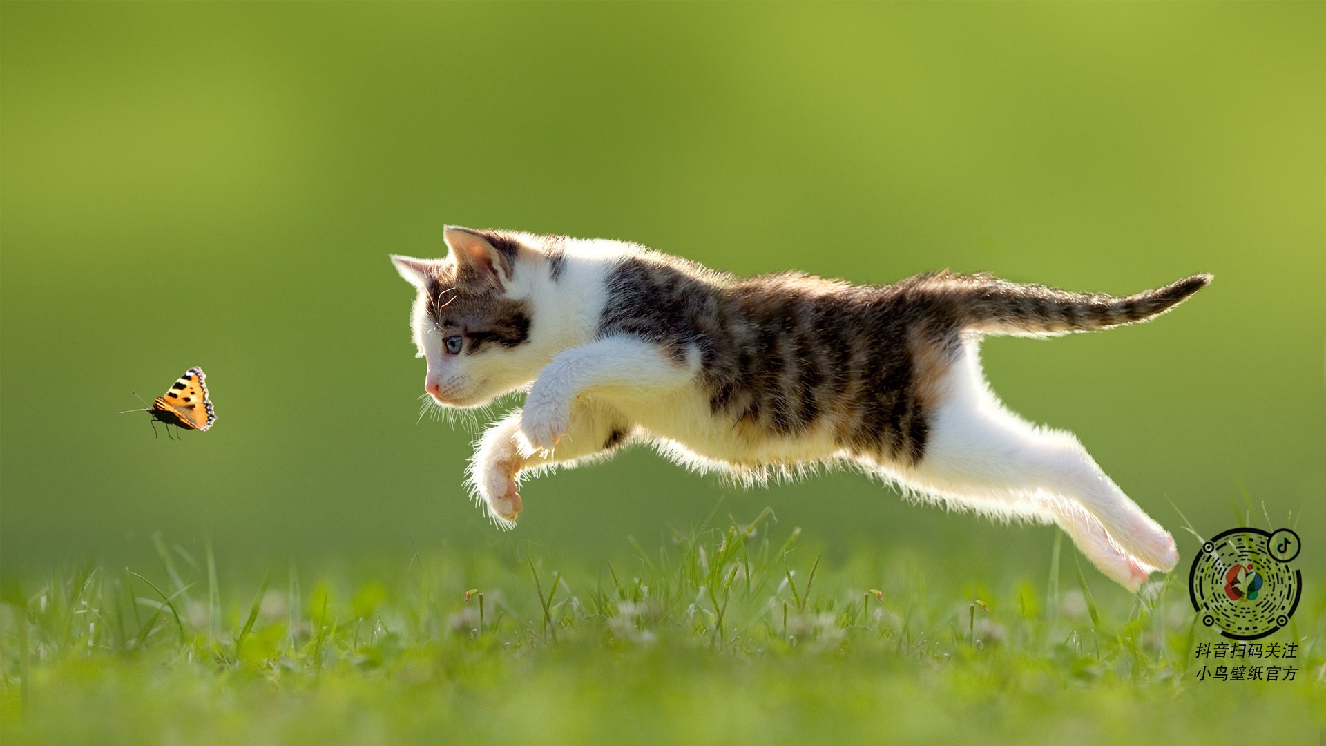 时空对位，当2023年CBA冠军浙江队跨越数据壁垒借走2011年总冠军独行侠核心