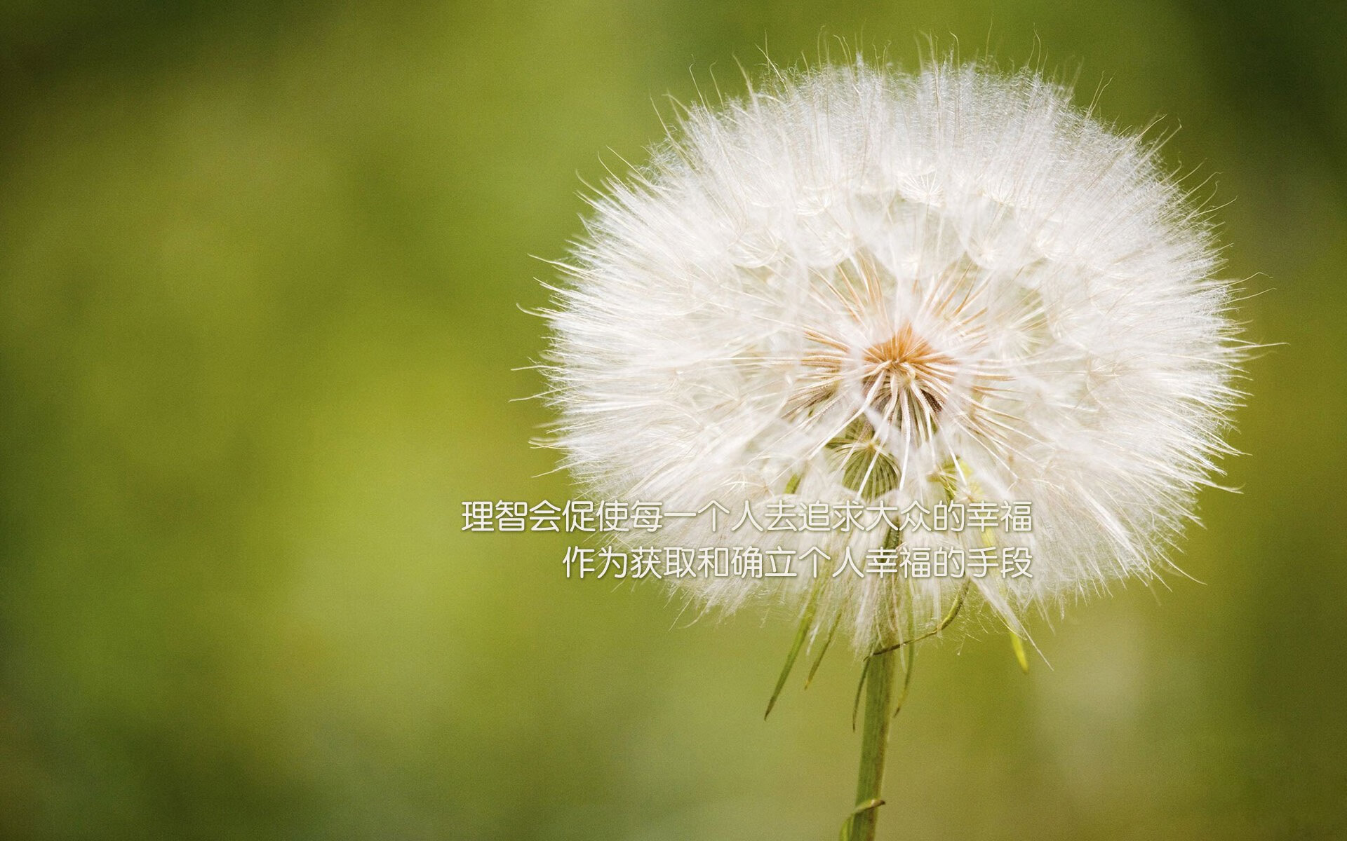 冰火九重天，2026世界杯豪门对决，德国战车碾碎南美坚冰，范戴克一剑封喉书写橙色挽歌