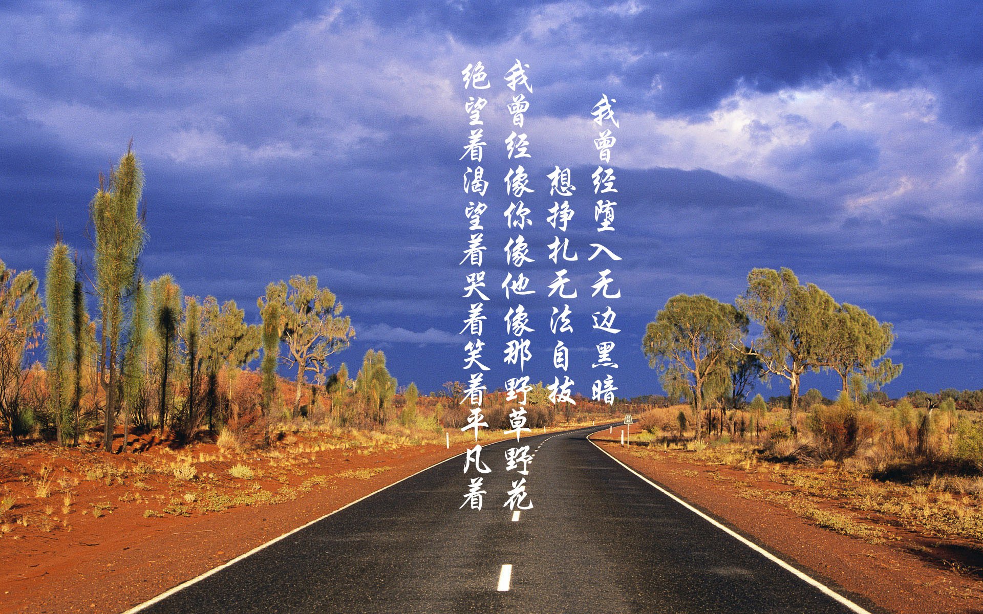枫叶之刃刺破波斯铁骑，2026世界杯焦点战，加拿大险胜伊朗，努涅斯一球成名