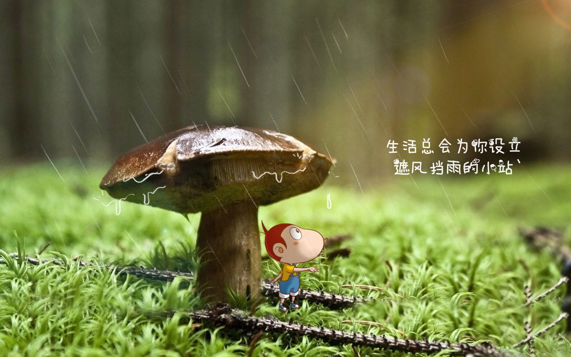 当黑马遇见大象，2026世界杯A组文明碾压背后的足球新秩序